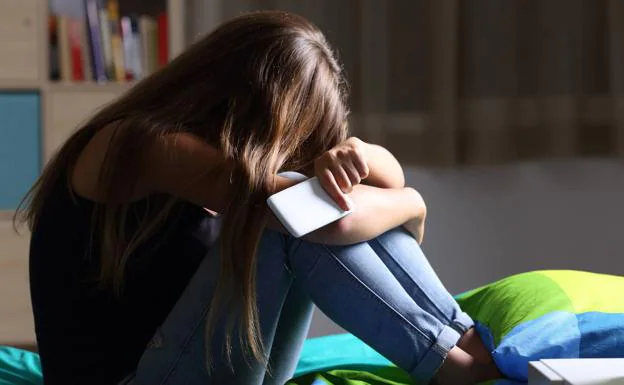 Adolescencia Cómo Afectan Las Redes A Los Problemas Mentales El Diario Vasco 8895